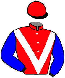 Casaque n°6