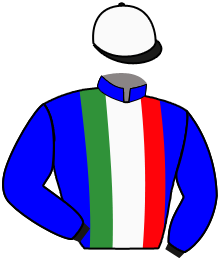Casaque n°10