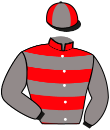 Casaque n°14