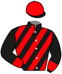 Casaque n°4