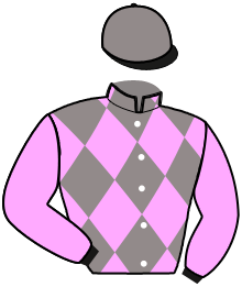 Casaque n°2