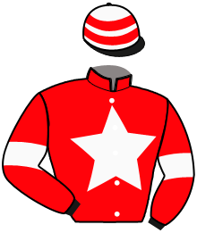 Casaque n°3