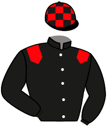 Casaque n°10