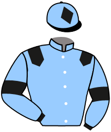 Casaque n°2