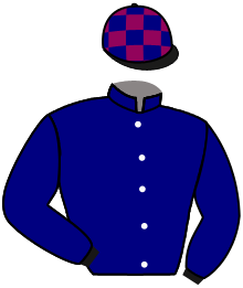 Casaque n°8