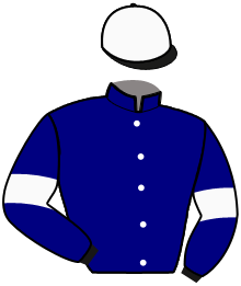 Casaque n°10