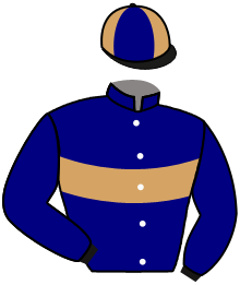 Casaque n°2