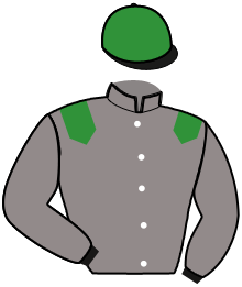 Casaque n°16