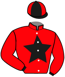 Casaque n°2