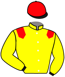 Casaque n°2