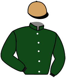 Casaque n°11