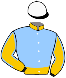 Casaque n°6