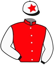 Casaque n°1