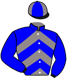 Casaque n°12
