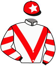 Casaque n°2