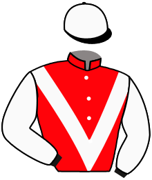 Casaque n°4