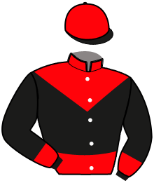 Casaque n°7