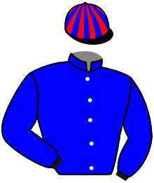 Casaque n°4