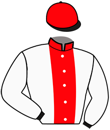 Casaque n°10