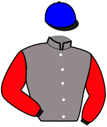 Casaque n°4