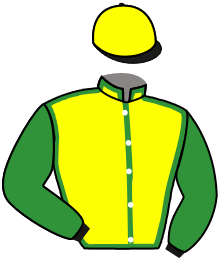 Casaque n°2