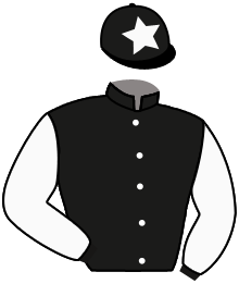 Casaque n°3