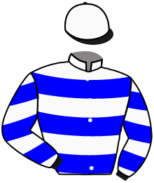 Casaque n°10