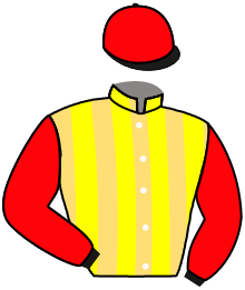 Casaque n°15