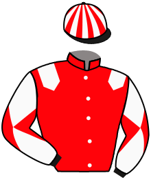 Casaque n°10
