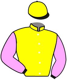 Casaque n°10
