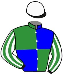 Casaque n°11