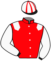 Casaque n°6