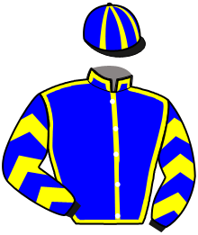 Casaque n°15