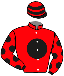 Casaque n°8