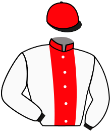 Casaque n°2