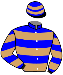 Casaque n°8