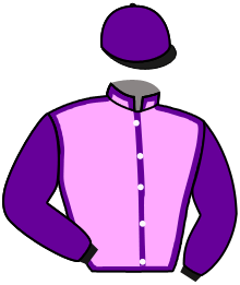 Casaque n°3