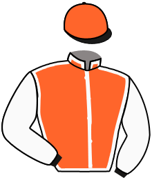 Casaque n°5