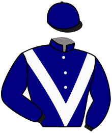 Casaque n°3