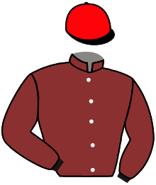 Casaque n°4