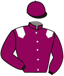 Casaque n°3