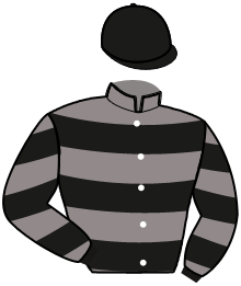 Casaque n°6