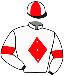 Casaque n°2
