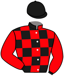 Casaque n°2