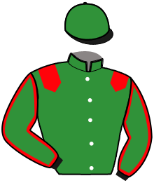 Casaque n°2