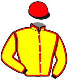 Casaque n°9