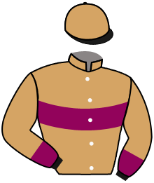 Casaque n°12
