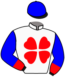 Casaque n°3