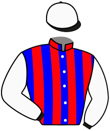 Casaque n°10