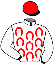 Casaque n°9